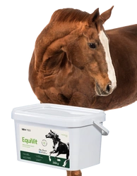 Lab-v EquiVit – mangime dietetico per cavalli, favorisce l'immunità e le articolazioni 2 kg