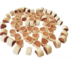 Master Dog Sushi con anatra 500g