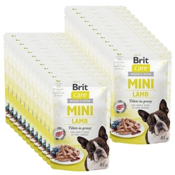 Brit Care Mini Lamb Filetti di agnello 24x85g