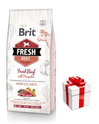 Brit Fresh Beef & Pumpkin Puppy Large Growth & Joints 12kg + una sorpresa per il vostro cane GRATIS!