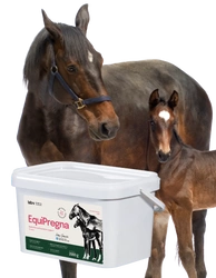 Lab-v EquiPregna - Mangime complementare per cavalle gravide e in allattamento, che favorisce il decorso della gravidanza, lo sviluppo del feto e la produzione di latte 2 kg