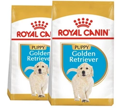 ROYAL CANIN Golden Retriever Puppy 12 kg x 2