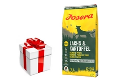 JOSERA Lachs & Kartoffel -Grain Free 12,5kg + sorpresa per il cane GRATIS