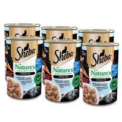 SHEBA 6x400 g lattina Nature's Collection - alimento umido completo per gatti adulti, con pesce bianco e fegato con guarnizione di carote, in terrina