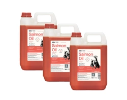 Lab-V Olio di Salmone 100% Per Cani e Gatti di Tutte le Età 3x5000 ml (15L) Pressato a Freddo