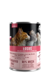 Pezzi PetRepublic in salsa di salmone (sterili) 400 g per un gatto