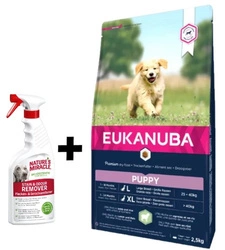 Eukanuba Cucciolo&Giovane Agnello&Riso razze grandi 12kg + Nature's Miracle RIMOZIONE MACCHIE E ODORI CANE 473ml Gratis!