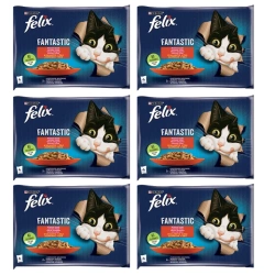 FELIX Wiejskie Smaki in gelatina con manzo e pollo 12x(4x85g)