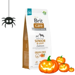 BRIT CARE Dog Grain-free Senior & Light Salmone 12kg