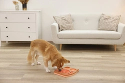 Kerbl Giocattolo educativo per cani , gufo, rosa/marrone, 30 x 28 cm