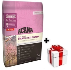 Acana Singles Grass-Fed Lamb 17kg + sorpresa per il cane GRATIS