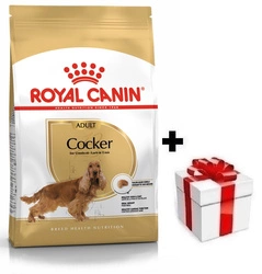 ROYAL CANIN Cocker Spaniel Adulto 12kg + sorpresa per il cane GRATIS