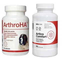 Dolfos ArthroHa 90 Compresse + LAB-V Arthro Comfort – Supporto completo per la salute delle articolazioni e del sistema muscolo-scheletrico per cani e gatti, 90 capsule