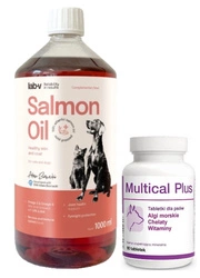 Dolvit Multical Plus 90 compresse + LAB V Olio di Salmone per cani e gatti 1000ml