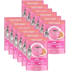 Purina One Junior con salmone e carote 12x85g