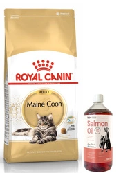 ROYAL CANIN Maine Coon Adulto 10kg + LAB V Olio di Salmone per cani e gatti 1000ml