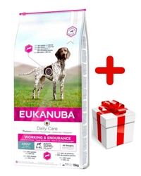 Eukanuba Cane secco Premium Sacco di pollo da lavoro e resistenza 15kg + sorpresa per il cane GRATIS