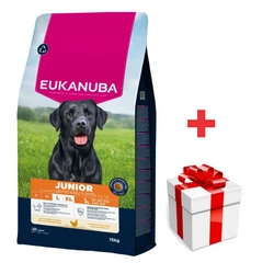 EUKANUBA Junior Large 15kg + sorpresa per il cane