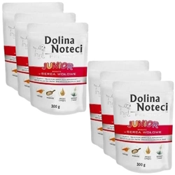 Dolina Noteci Premium Junior ricco di cuori di manzo 6x300g