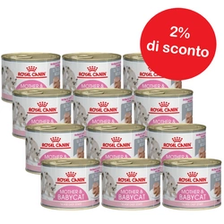ROYAL CANIN Mother &amp; Babycat Ultra Soft Mousse 12x195g