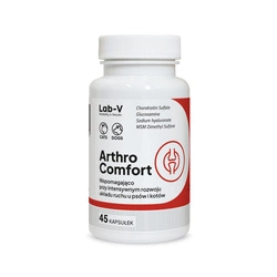 LAB-V Arthro Comfort - Supporto completo per la salute delle articolazioni e dell'apparato muscolo-scheletrico di cani e gatti 45 capsule