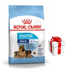 ROYAL CANIN Maxi Starter Mother & Baby Dog 15kg + una sorpresa per il vostro cane GRATIS!