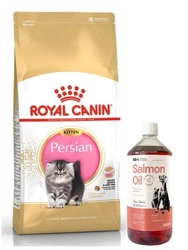 ROYAL CANIN Persian Kitten 10kg + LAB V Olio di Salmone per cani e gatti 1000ml