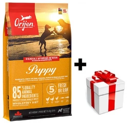 Orijen Cane cucciolo 11.4kg + sorpresa per il cane GRATIS