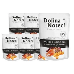 DOLINA NOTECI Piatto di salmone con carote e riso 10x300g-cibo umido per cani