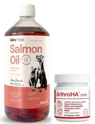 Dolfos ArthroHA Mini 40 Compresse + Lab-V Olio di Salmone 100% Per Cani e Gatti di Tutte le Età 1000 ml Pressato a Freddo