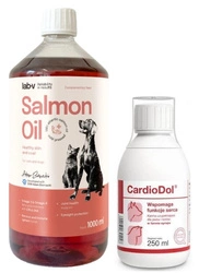 Dolfos CardioDol 250 ml + Lab-V Olio di Salmone 100% Per Cani e Gatti di Tutte le Età 1000 ml Pressato a Freddo