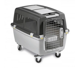 Zolux Transporter Gulliver 4 IATA 51x71x50cm