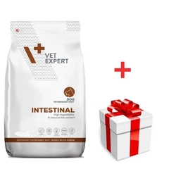 VETEXPERT Dog Intestinal 12kg + una sorpresa per il vostro cane GRATIS!