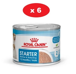 ROYAL CANIN Starter Mousse Mother & Babydog 6x195g