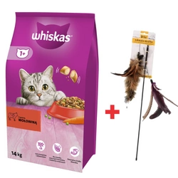 WHISKAS Cibo secco per gatti 1+ con manzo 14kg + Canna da pesca per gatti Dingo