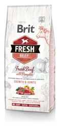 Brit Fresh Beef & Pumpkin Puppy Large Growth & Joints 12kg