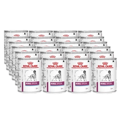 ROYAL CANIN Renal Special 24x410g