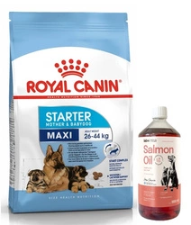 ROYAL CANIN Maxi Starter Mother & Baby Dog 15kg + LAB V Olio di Salmone per cani e gatti 1000ml