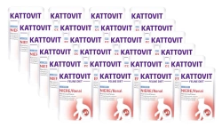 Kattovit Niere/Renal anatra 24x85g bustina