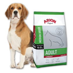 Arion Original Adult Medium Breed Lamb & Rice 12kg x2