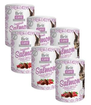 BRIT CARE Snack per gatti Superfruits Salmone 6x100g - di sconto in un set