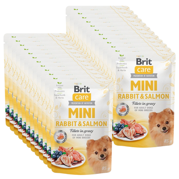 Brit Care Mini Filetti in salsa di coniglio e salmone 24x85g