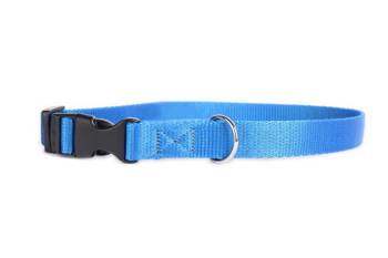 DogStuffs Collare con fibbia in plastica 20mm/30-55cm blu