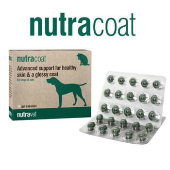 NUTRAVET Nutracoat for dogs & cats 45caps - supporto per pelle sana e pelo lucido