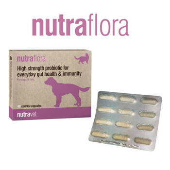 NUTRAVET Nutraflora For Dogs & Cats 48 caps -  Probiotico ad alta potenza per supportare la salute quotidiana dell'intestino e del sistema immunitario