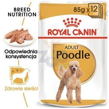 ROYAL CANIN Barboncino 12x85g