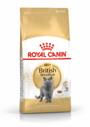 ROYAL CANIN British Shorthair Adulto 10kg