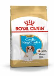 ROYAL CANIN Cavalier King Charles Spaniel Puppy 1,5kg