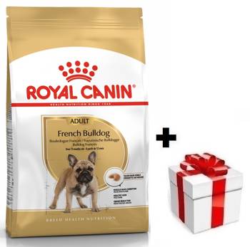 ROYAL CANIN French Bulldog Adult 9kg + sorpresa per il cane GRATIS