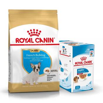 ROYAL CANIN French Bulldog Puppy 10kg + cibo umido GRATIS